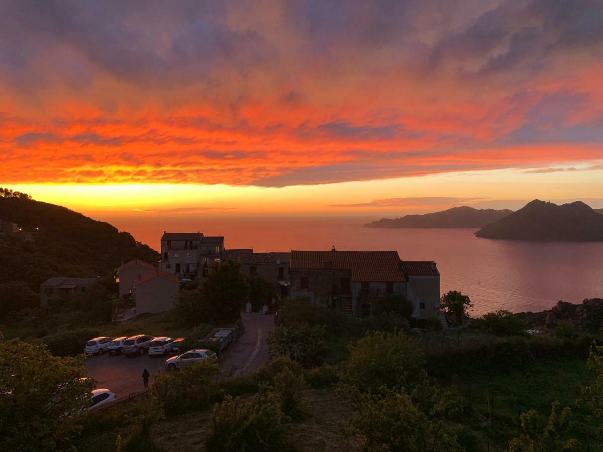 Residence De La Tour Piana  Dış mekan fotoğraf